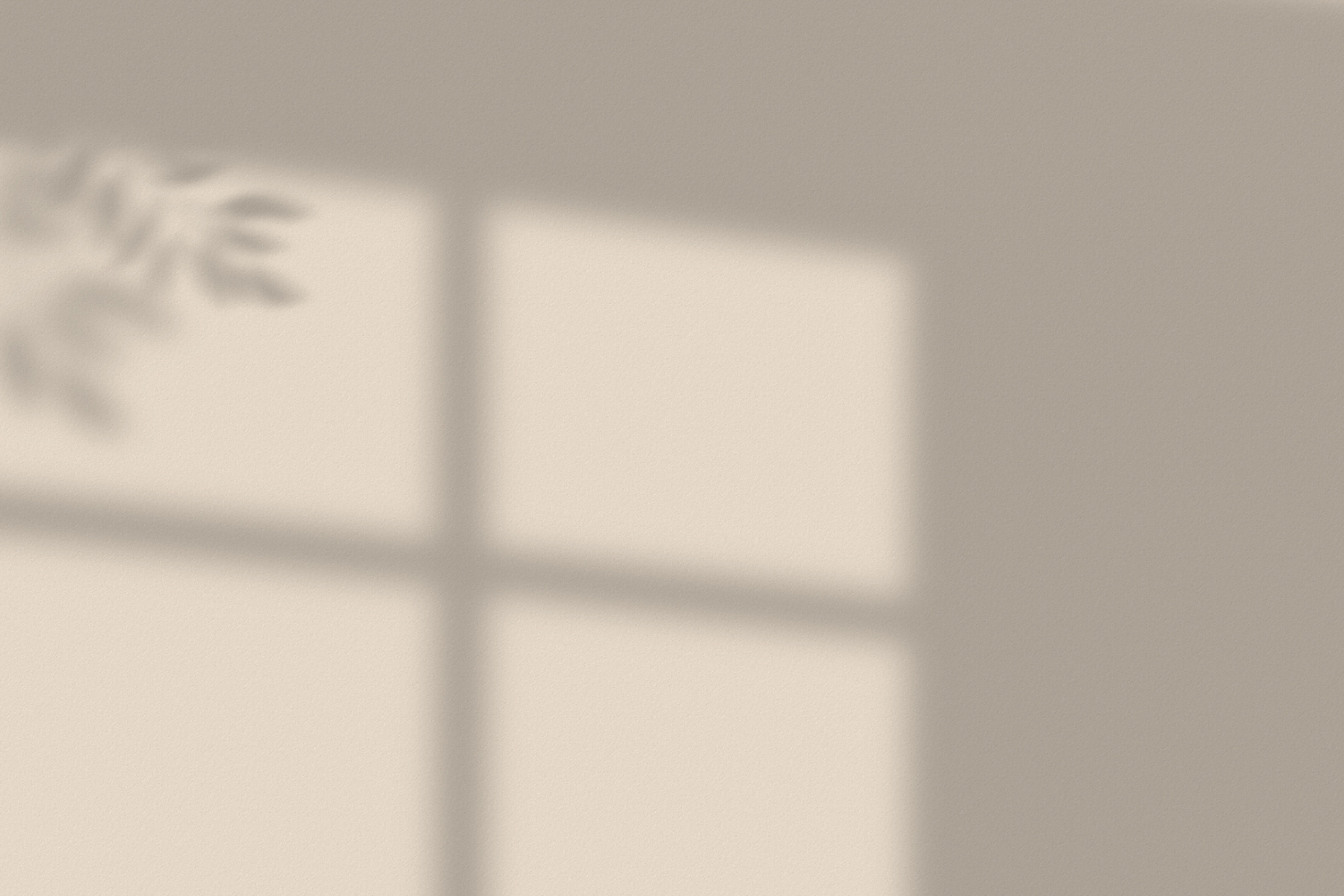 Leaves and Window Railing Shadow on A Textured Brown Wall